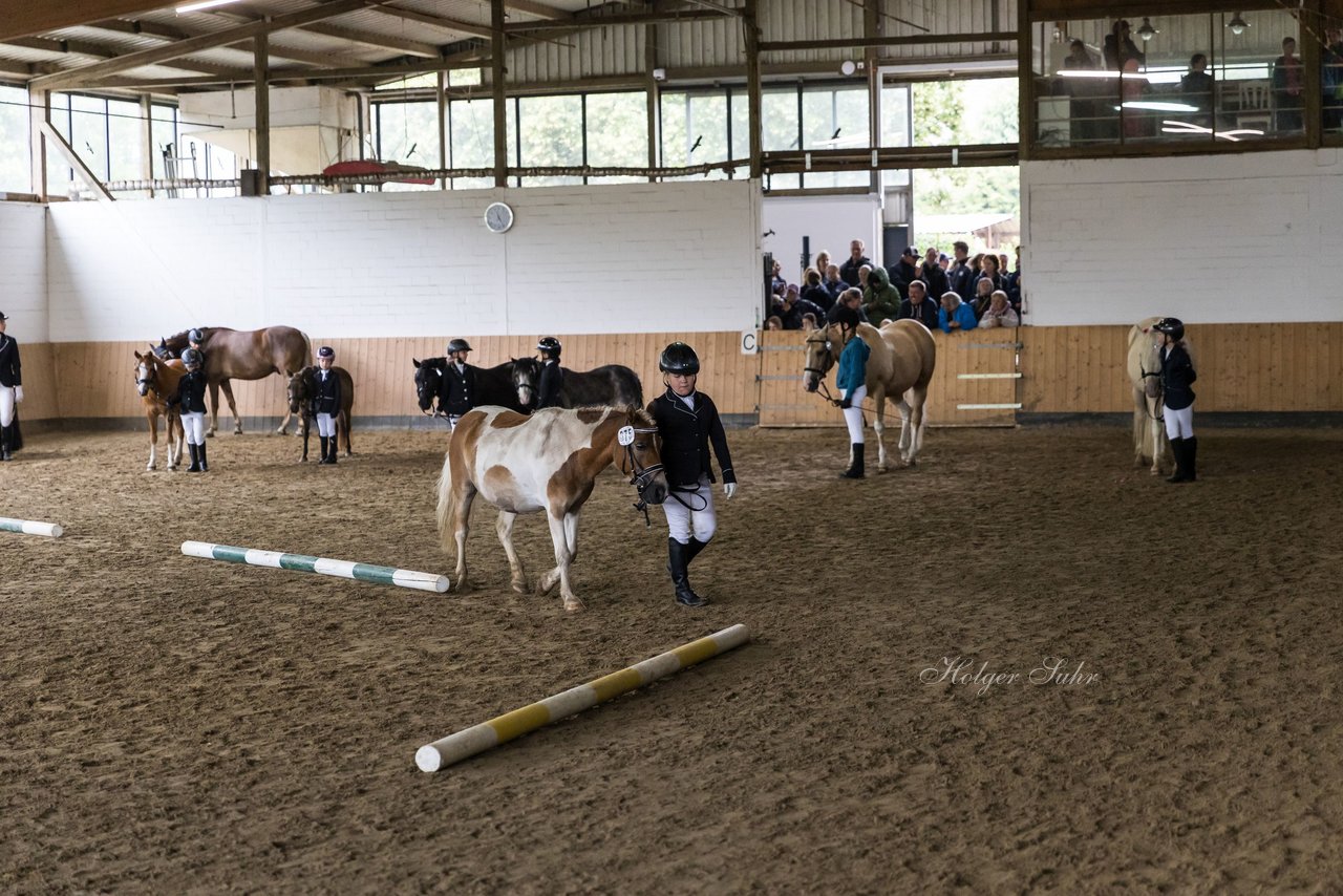 Bild 79 - Pony Akademie Turnier